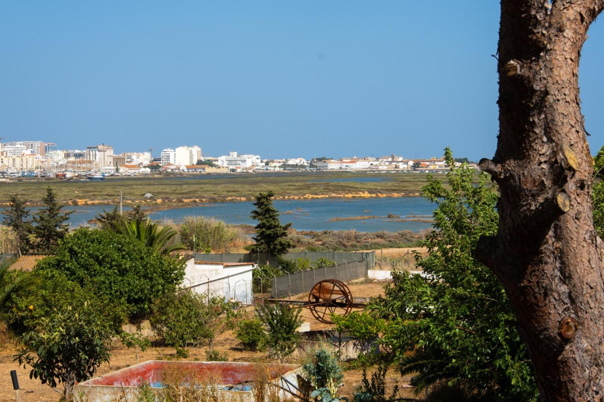 Ria Formosa Guest House 法鲁区 外观 照片